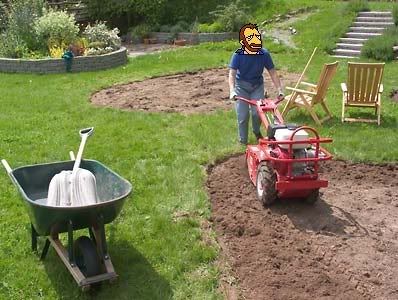 Ringo gripes as he tills his garden
