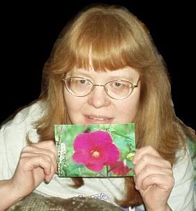 Having a here time. Wish you were fun. (No, that's not what the card said!)