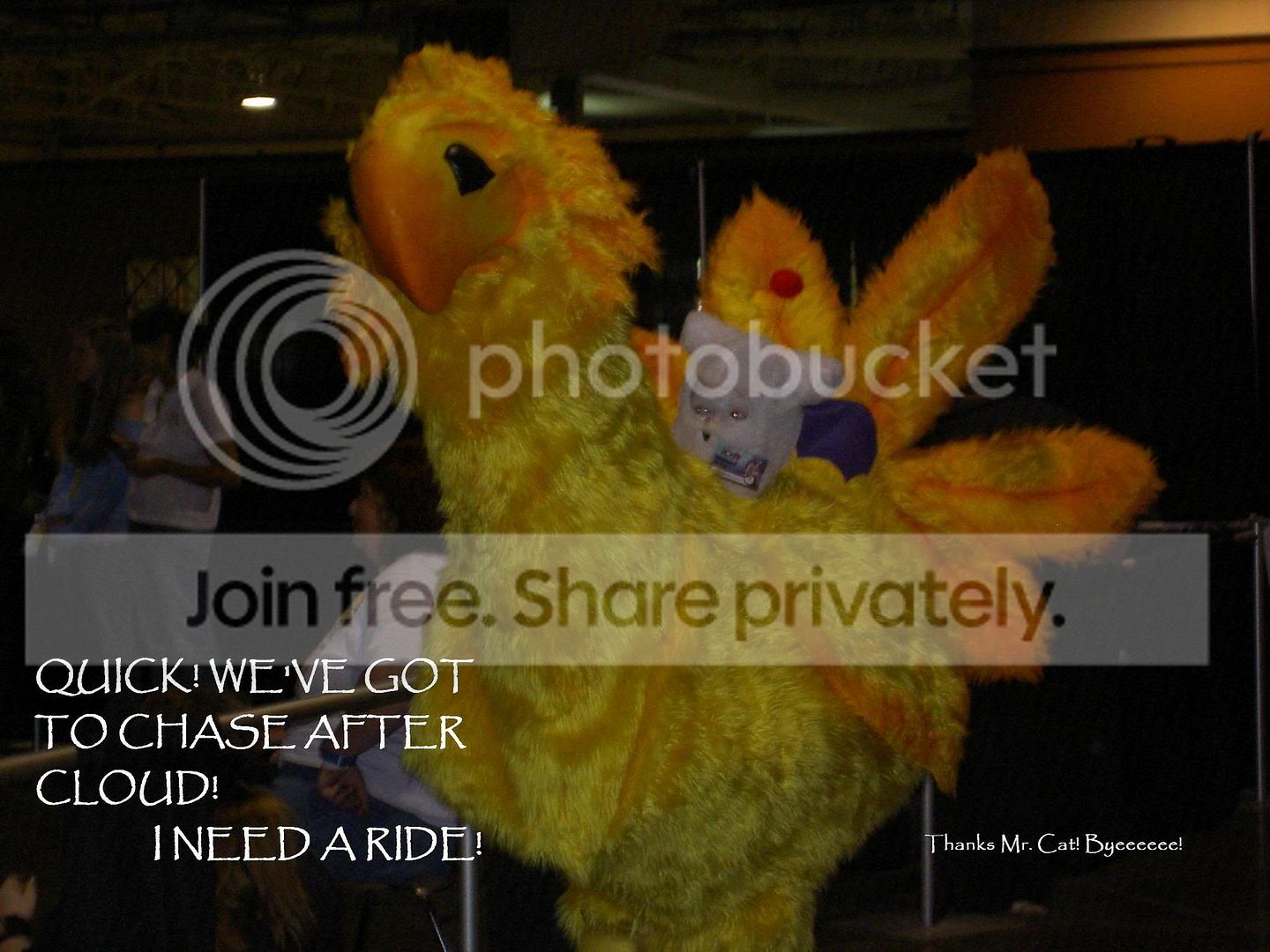 User Image