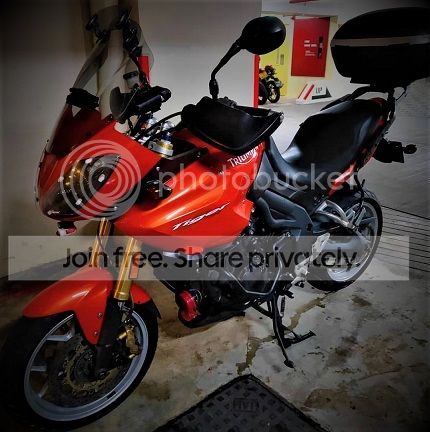 Tiger%20Front%20Side%20-%20Copy.jpg