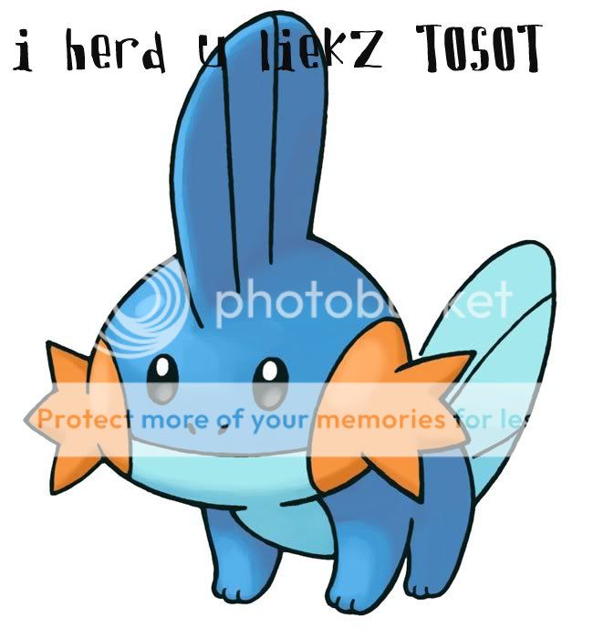 mudkipz