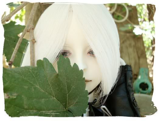 User Image