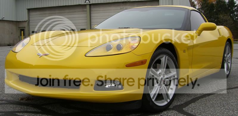 '08 VY Bumble Bee, Some New Pic's... - CorvetteForum - Chevrolet