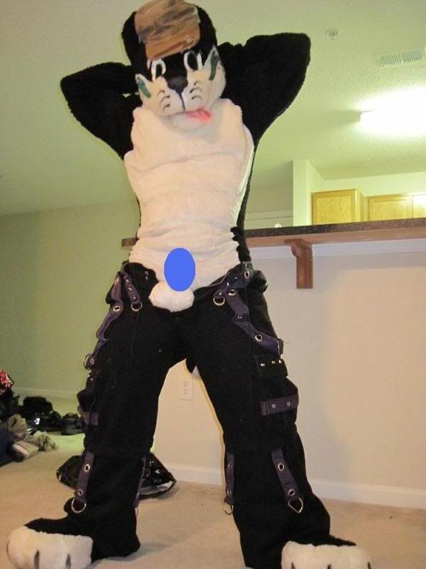 I believe the desctruction of the furry lifestyle will be page 14 