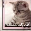 Image hosted by Photobucket.com