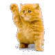 [PokeCommunity.com] x<3 The xo*hugs.n.kisses*ox Fan Club! x<3