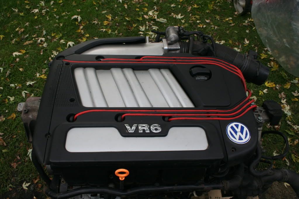 Vwvortex Com