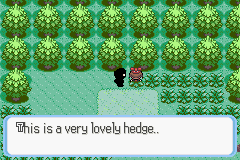 [PokeCommunity.com] Shots from my new game