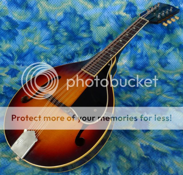 1956 Gibson A 50 A Style Mandolin Flamed Maple All Original Made In 