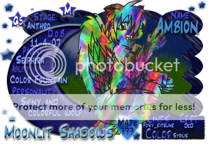 User Image