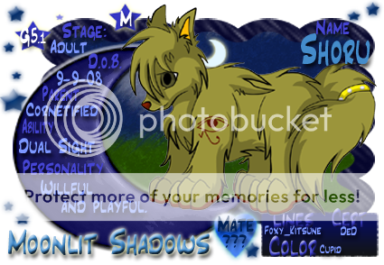 User Image