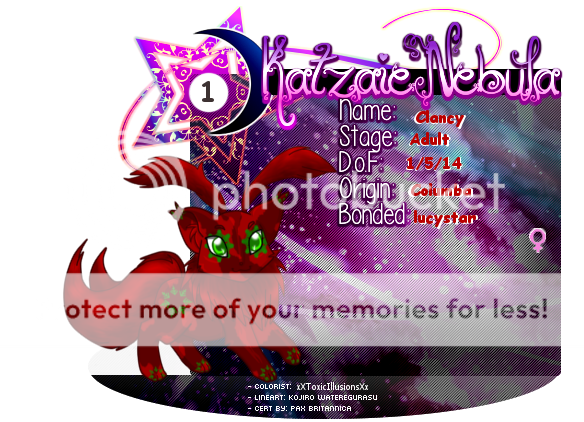User Image