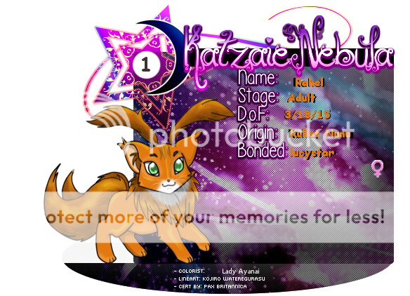 User Image