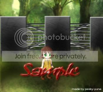 User Image