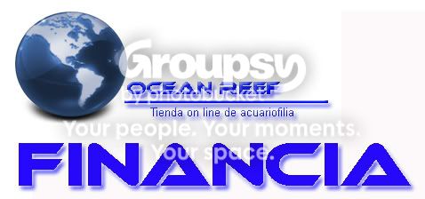 [TodoMarino.com] Ocean reef financia