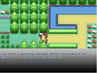 [PokeCommunity.com] Pokemon Rise to Destiny
