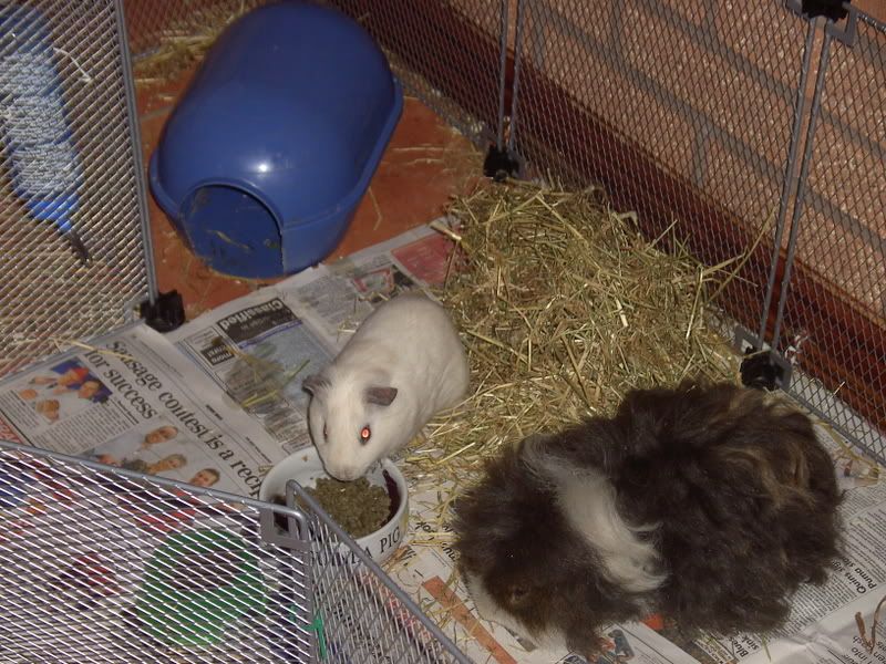 PICT0977.jpg