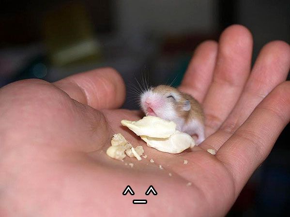 https://i7.photobucket.com/albums/y285/iMech/_.jpg