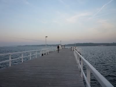 https://i7.photobucket.com/albums/y288/Drugelka/P1060699.jpg