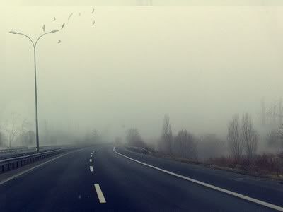 https://i7.photobucket.com/albums/y288/Drugelka/foggy_by_junest.jpg