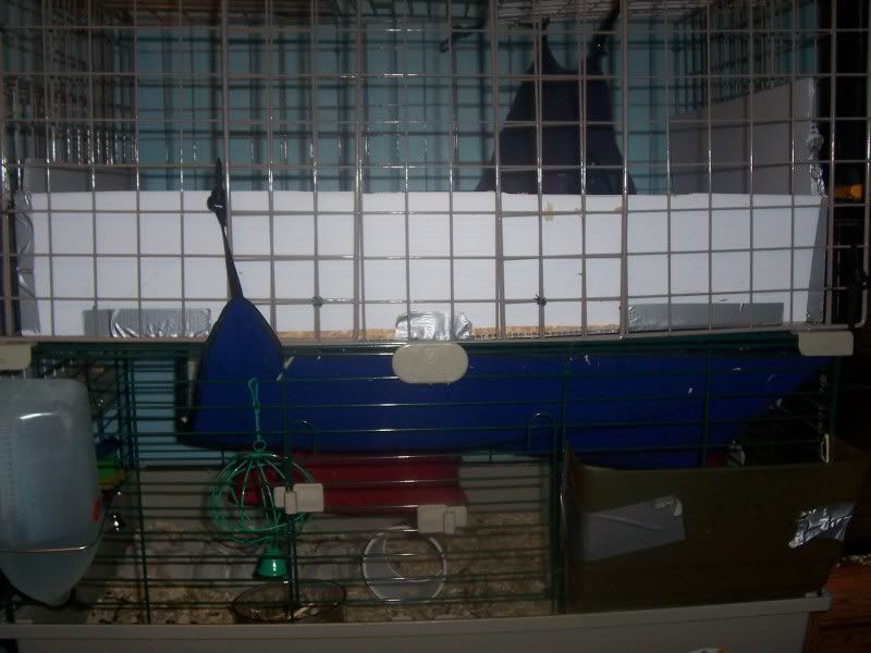 100_0768.jpg