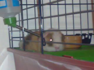02042008193.jpg