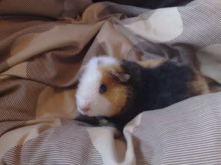 06042008234.jpg