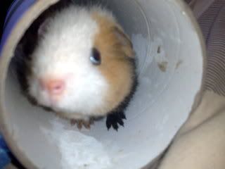 06042008236.jpg