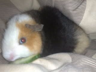 09042008254.jpg