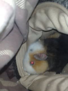 13042008267.jpg