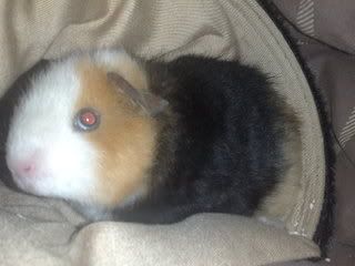 13042008270.jpg