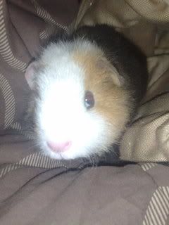13042008275.jpg