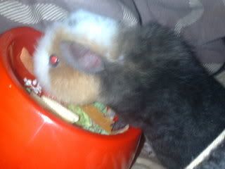 13042008279.jpg