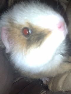 13042008285.jpg