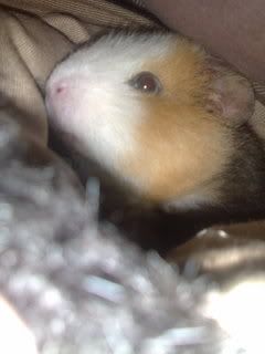 13042008288.jpg