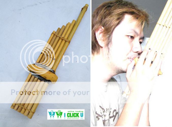 Bamboo Thai Flute Wote Long Vote KAN Woodwind Baan Laos Musical