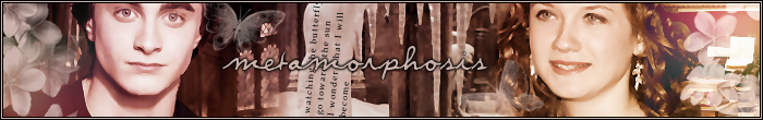 Metamorphosis