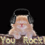 https://i7.photobucket.com/albums/y298/stoopidstar/movin%20stuffs/rockonkitty.gif
