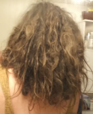 7mos